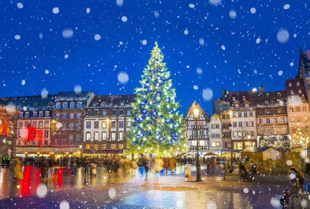 Appartements De La Pleiade Strasbourg Eksteriør billede